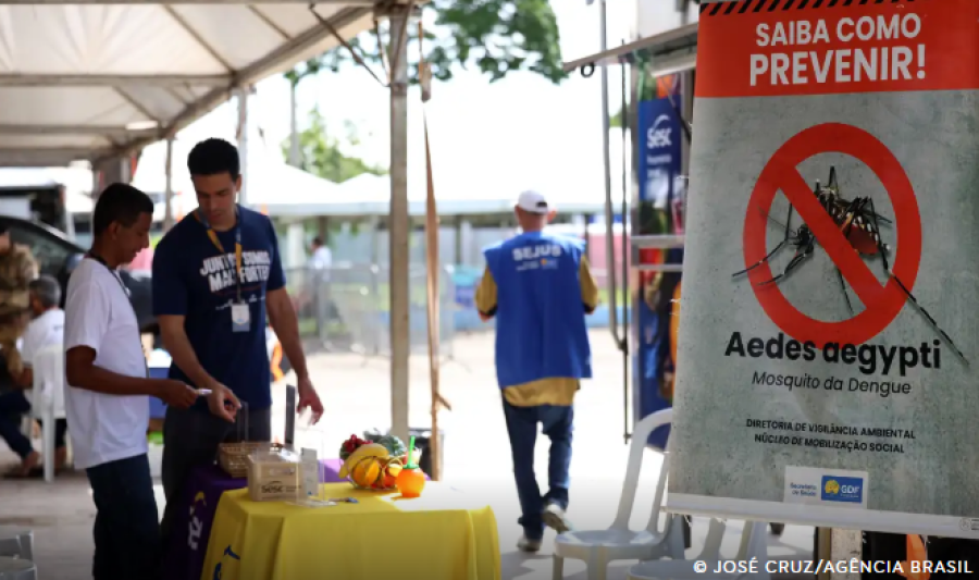 Casos de dengue no Brasil caem 60% nas primeiras semanas do ano