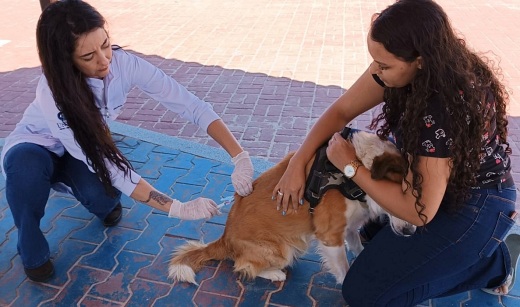  Feira de Negócios de Guanambi contará com vacinação antirrábica gratuita para cães e gatos