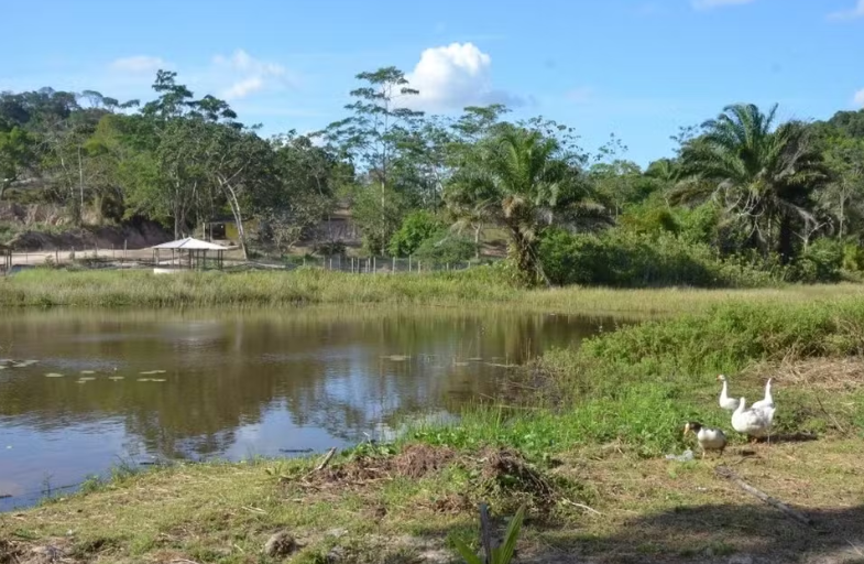  Incra reconhece terrar do quilombo que era liderado por mãe Bernadete