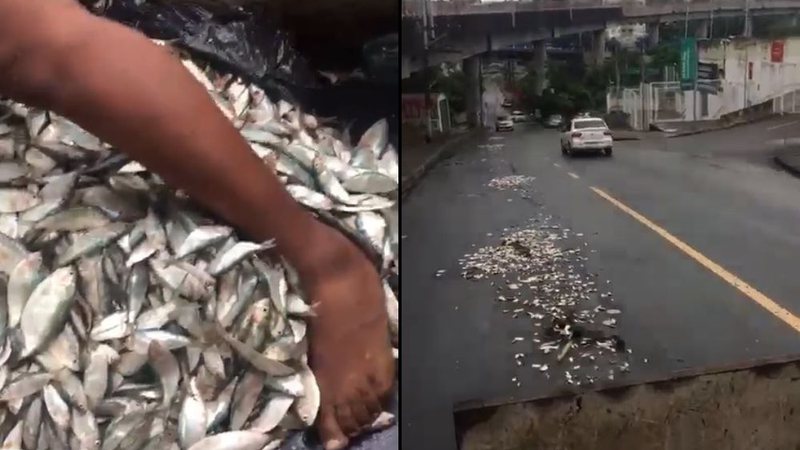  Torcedores do Vitória jogam sardinha na ladeira da Arena Fonte Nova