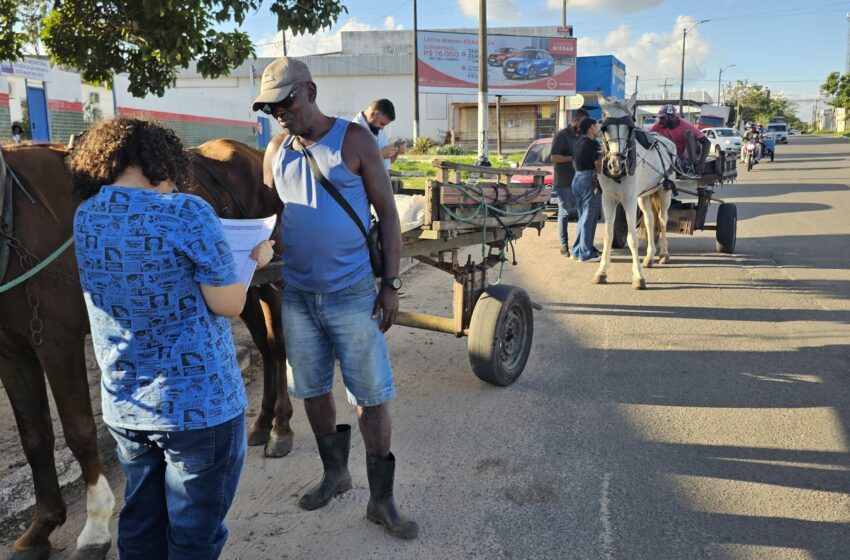  Projeto Amigo Carroceiro atua no cuidado à saúde e bem-estar de trabalhadores e animais 