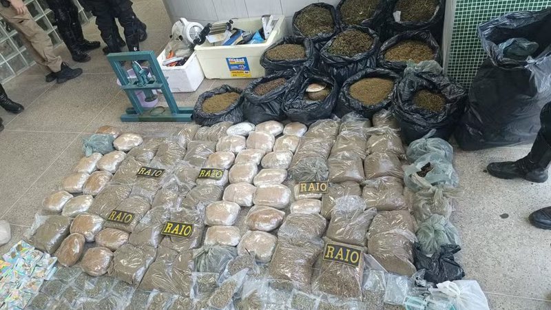  Vizinhos relatam ‘cheiro intenso’ de maconha e polícia encontra uma verdadeira fábrica de drogas em funcionamento dentro de uma residência