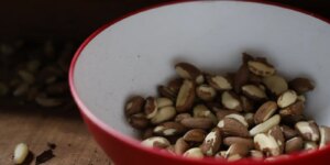 agricultura-familiar-do-nordeste-vai-a-maior-feira-mundial-alimentos